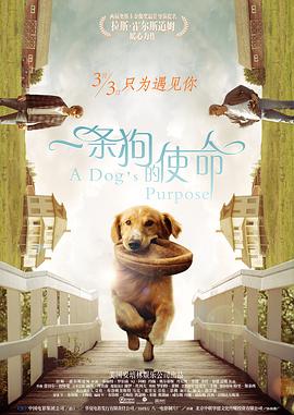 99热精品一区