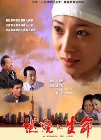 麻豆av免费在线观看