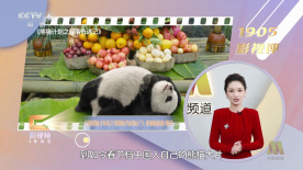h色视频在线观看